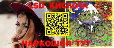 бошки Кимры
