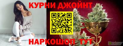 мдпв Кингисепп