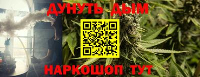 мдпв Кингисепп