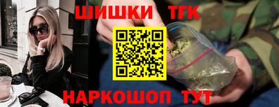 мдпв Кингисепп