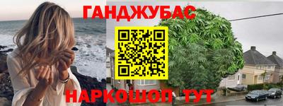 мдпв Кингисепп