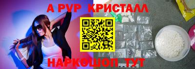 мдпв Кингисепп