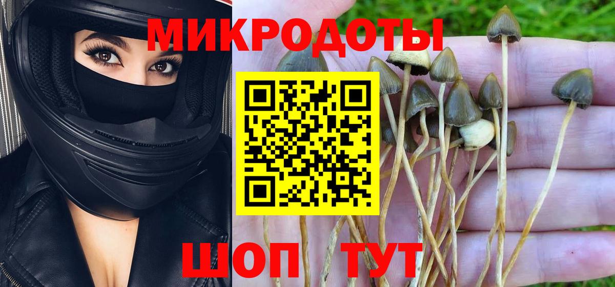 Галлюциногенные грибы ЛСД  Вход с VPN  Краснокаменск 