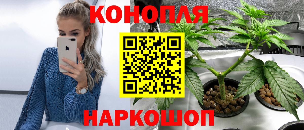 Каннабис планчик  Вход с VPN  Краснокаменск  Бошки марихуана тримм 